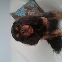 Marlene Surley (@marlenesurley) 's Twitter Profile