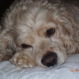 usermax5737's profile picture. 