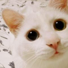 癒される言葉・元気になる言葉他、いろいろつぶやきます。