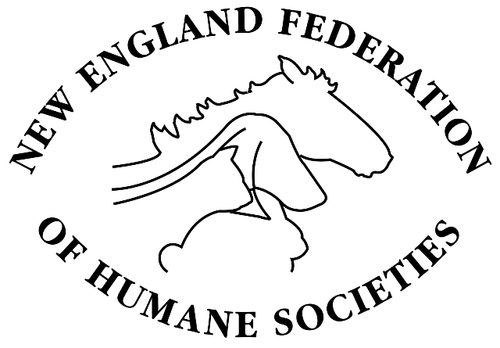 NewEnglandFed's profile picture. Dedicated to creating a more humane world