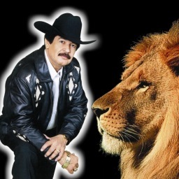 Soy el mero león del corrido. Regresé del más allá pa seguirles cantando. Bonito mi Tamaulipas donde no hay gente de miedo!