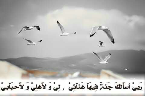 سبحان الله والحمدلله ولا اله الا الله والله اكبر ()*