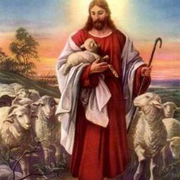 TRISNIMAWAR1's profile picture. 