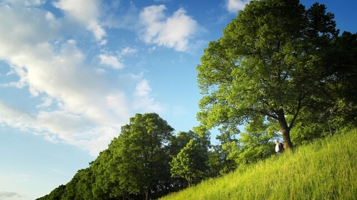 aabr3754's profile picture. 