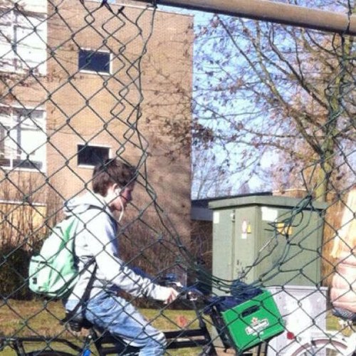 Niksaan