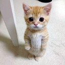 Peter Schuster - @Pezii4Pezii - Twitter