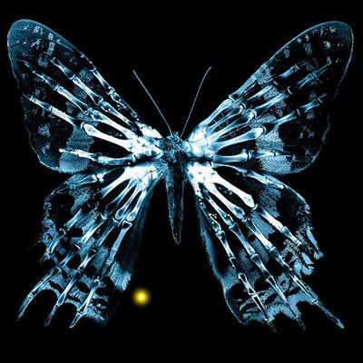 bacubacu's profile picture. #CRO