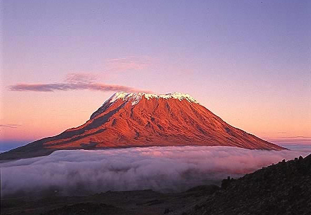 In February 2014, 13 Local Business' will climb Mount Kilimanjaro to raise money for the Sparkle Appeal Children's Charity in Newport.