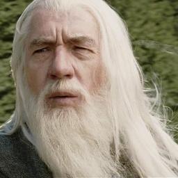 Un mago nunca llega tarde... ni pronto, Frodo Bolsón. Llega exactamente cuando se lo propone. #SpanishFakeESDLA