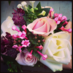 Northern Flower (@northernflower1) Twitter profile photo Northern Flower (@northernflower1) Twitter profile photo