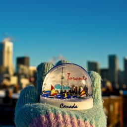 specialecanada's profile picture. 