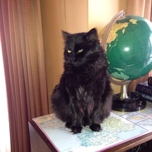 alainpatrick1's profile picture. 