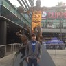 Rajan_sports's profile picture. Fantasy Football Champion***
