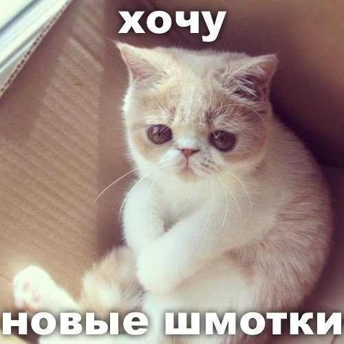 Заходите #Магазин одежды http://t.co/Op3Sw5DAmD  и #МагазинПарфюмерии http://t.co/vJHio2y2hq . #ВзаимныйФоловинг
