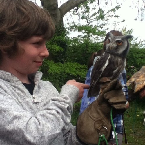 Charlie04190661's profile picture. 