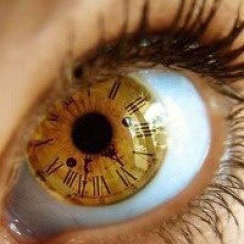 inkydanna's profile picture. Christian, MLP Fan, Whovian,