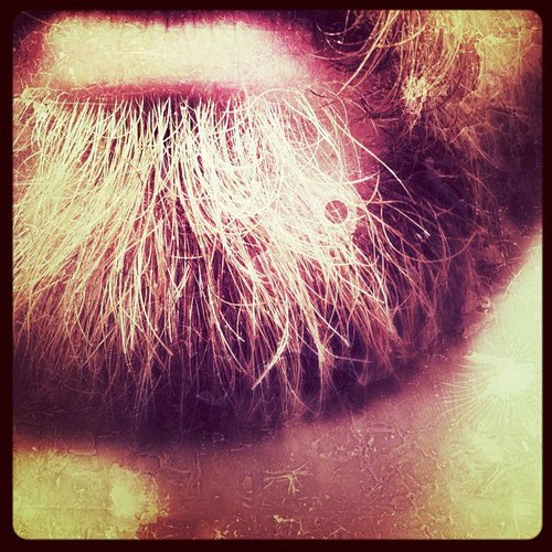 Namistai_'s profile picture. 