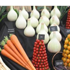 Bretforton Show, Sat 10 Sept 2022, Bretforton Manor. Fun-filled afternoon for all the family - produce competition, stalls, entertainment & refreshments.