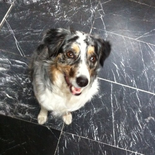 maluisarena's profile picture. 