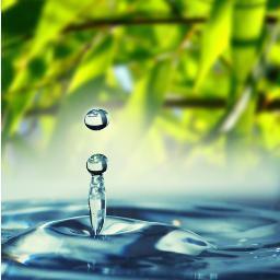 Water4Millions's profile picture. Through permaculture projects (sustainable agriculture), groundwater is replenished, providing water and food for base of the pyramid.