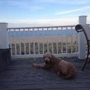 Daniel Mannella - @dmannella - Twitter