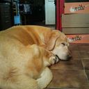 Andre@ Be@n - @Andrea_Bean84 - Twitter