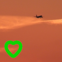 accidental exporter (@accidex) 's Twitter Profile