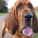 jayne payne - @payne_jayne - Twitter