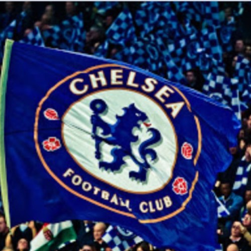 Mrs_Amy_beard's profile picture. Masterchef in training, crazy cat lady and lover of CFC!