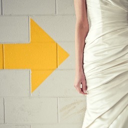 amerisphoto's profile picture. We love love.