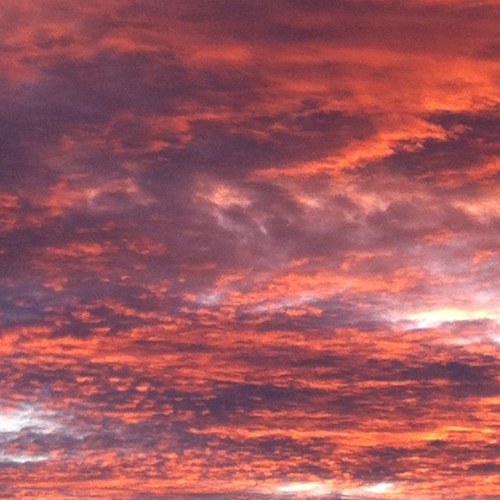 anaagrana's profile picture. 