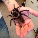 Kim wallis - @Mumseykim - Twitter