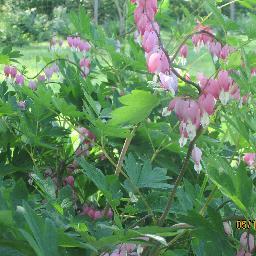 newjerseyreader's profile picture. Reader, teacher, editor, tutor, literacy volunteer