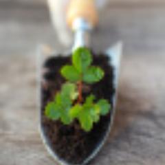 Home_an_Garden's profile picture. Looking around the Net for great deals on Home and Garden Supplies. I 100% FOLLOW BACK