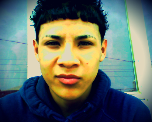 I am 100% fan of chapo guzman .. Narcocorridos like me, & I am very faithful in the relationship with my love .. | Duarte El Tecuan 100% | ilove weedd smook |