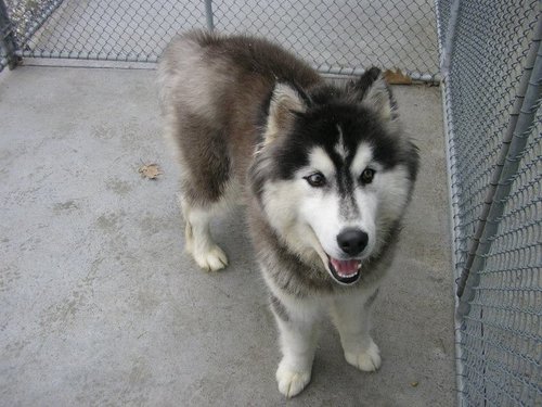 DainsLisa's profile picture. 