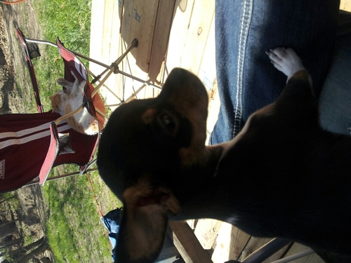 Luka_Bieber69's profile picture. HEY GUYS!!! LUKA IS BACK!!!!