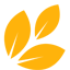 Help raise money for a new cancer-detecting machine for KW by learning to code!
Twitter updates about the event + feel free to ask Q's!
Check out the site!