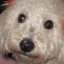 Linda Wilkins - @myrtlesos - Twitter