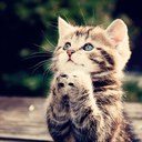 abooor-11 (@11Abooor) Twitter