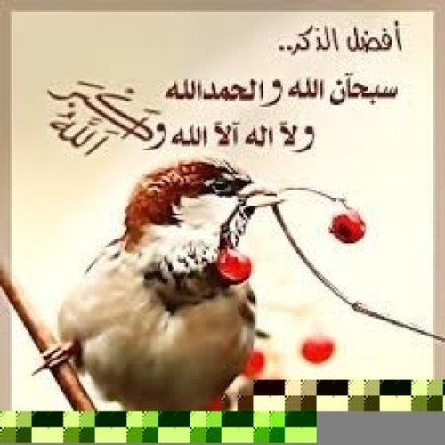 MmmnnnNo662012's profile picture. 