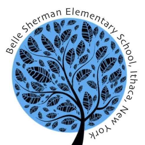 Elementary Library Media Specialist