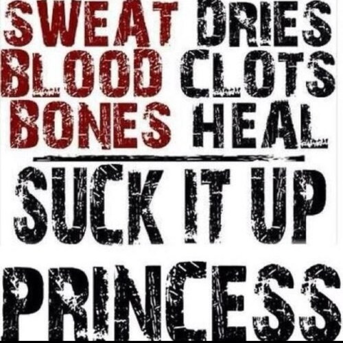 jzuberbier's profile picture. Athletic trainer, counselor, fan, supporter... all in a days work. Coffee is the one constant in my life.