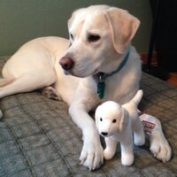 eric dick (@eric_dick) 's Twitter Profile