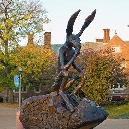 WashUBunny's profile picture. FUCK BITCHE$ GET BUNNY