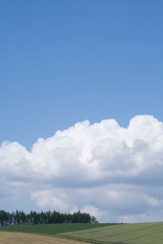 dynamicz00's profile picture. 一个普通人