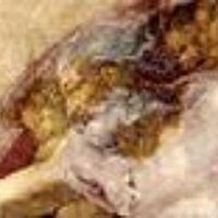 LostSailor (@lostsailorny) 's Twitter Profile