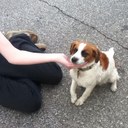 Nancy - @nancy_sue - Twitter