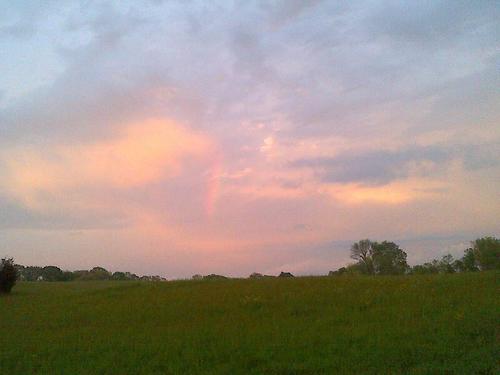 PRHOPE's profile picture. 