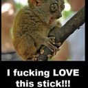 Harry cordes - @KrAzY_dAzE - Twitter